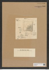 Triceratium finmarchicum Grun. (de-Toni-Nr.: Genus 140, Species 4056) Zeichnungen Sammlung Grunow Nr. 7496 (NHMW-BOT-W0376619)